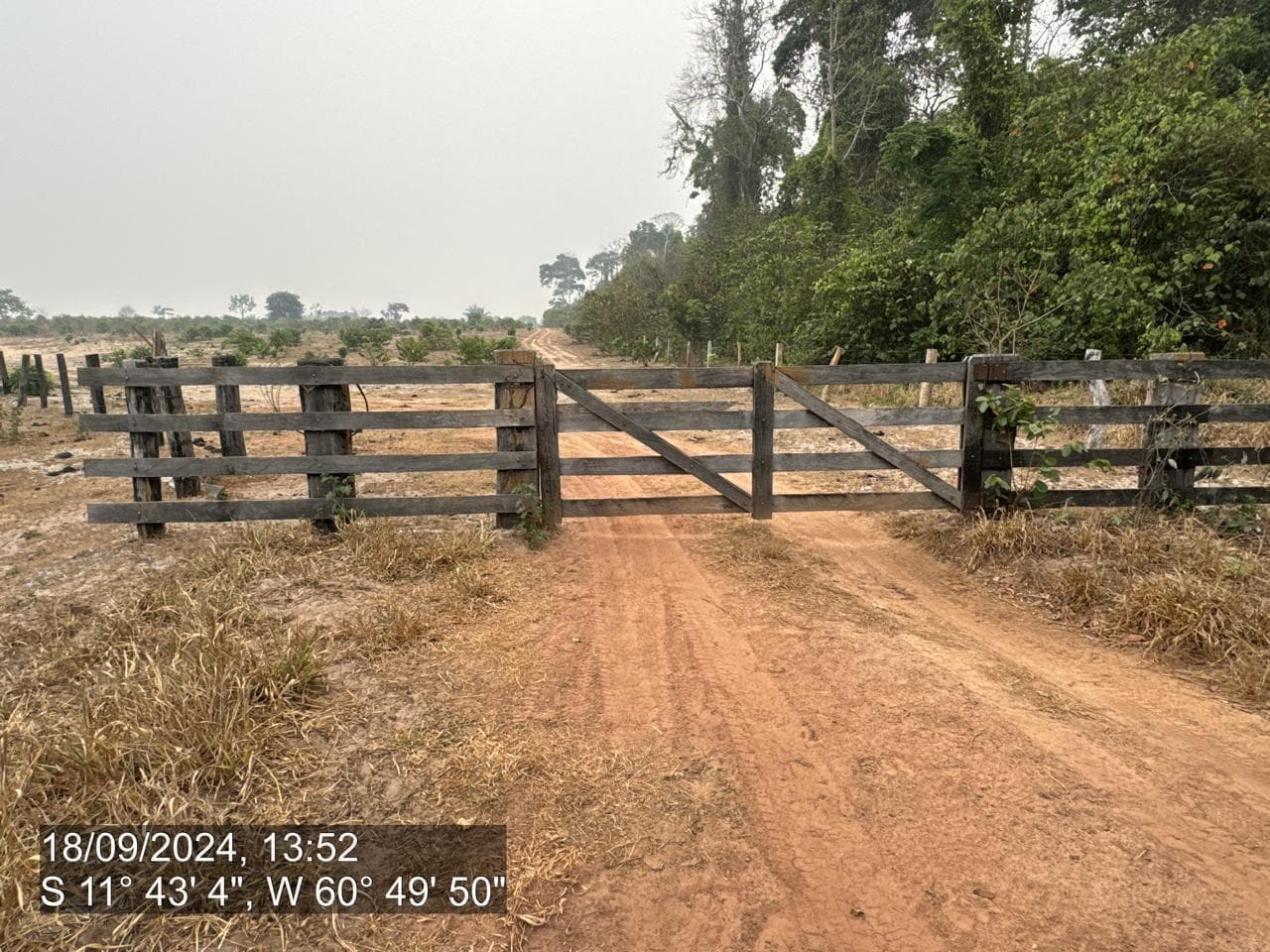 Foto 19 de 20: Area Rural em leilão em Pimenta Bueno - RO — IMÓVEL RURAL | A. T. 63,4635 HA | PIMENTA BUENO/RO - LEILÃO EMPRESARIAL SISTÊMICO SICREDI