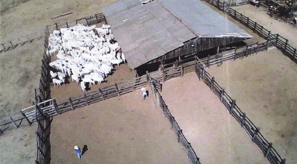 Foto 1 de 5: Area Rural em leilão em Mineiros - GO — IMÓVEL RURAL - PECUÁRIA - A.T. 266,21 HA - MINEIROS/GO