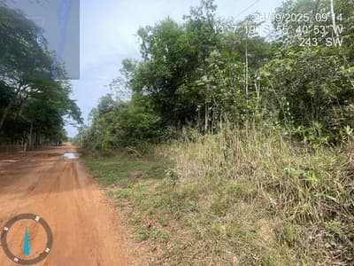 Foto 18 de 28: Area Rural em leilão em Sorriso - MT — IMÓVEL RURAL | 61,6997HA FAZ. SANTA MARIA PARCELA B | EM SORRISO/MT - DESTINAÇÃO PECUÁRIA