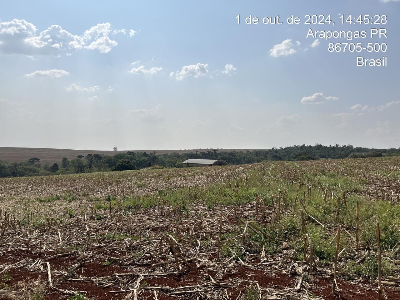 Foto 4 de 21: Area Rural em leilão em Arapongas - PR — Fração ideal de 6,255% do Lote rural, coma área 28100,83m², Arapongas/PR