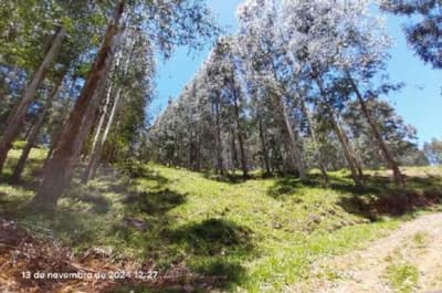 Foto 6 de 16: Area Rural em leilão em Pinhão - PR — Imóvel rural, 242.766,02 m², denominado Torres, Município e Comarca de Pinhão-PR