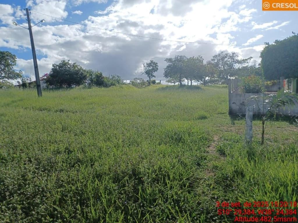 Foto 3 de 10: Area Rural em leilão em Cícero Dantas - BA — IMÓVEL RURAL Em CÍCERO DANTAS/BA