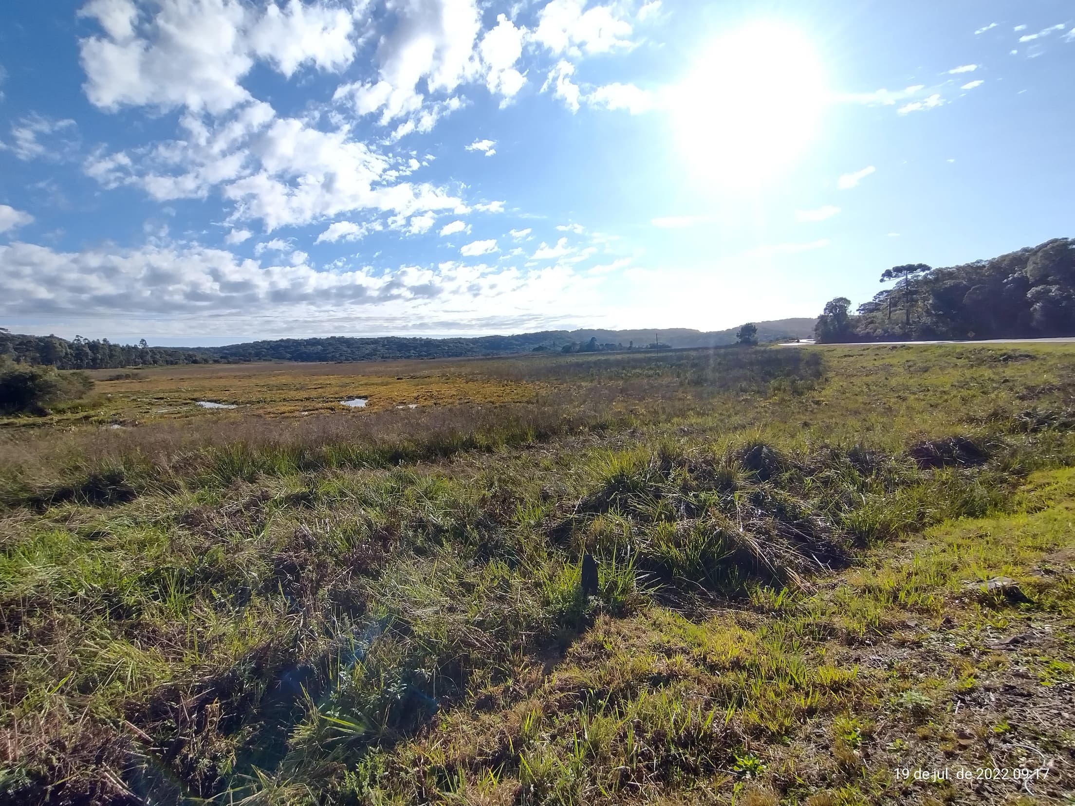 Foto 7 de 50: Terreno em leilão em Irati - PR — Terreno rural com área de 74.282,70m², Irati/PR