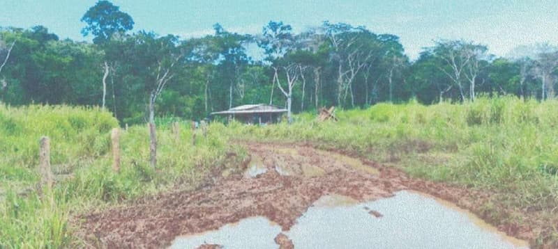Foto 10 de 24: Area Rural em leilão em Alta Floresta D'oeste - RO — IMÓVEL RURAL | A.T 68,82 HA | ALTA FLORESTA DOESTE/RO