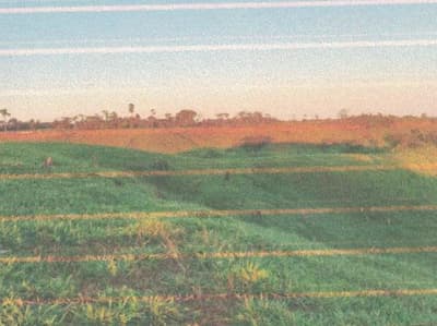 Foto 10 de 13: Area Rural em leilão em Alto Alegre Dos Parecis - RO — IMÓVEL RURAL | A.T 26,44 HA | ALTO ALEGRE DOS PARECIS, COMARCA DE SANTA LUZIA D'OESTE/RO