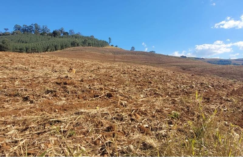 Foto 6 de 8: Area Rural em leilão em Anchieta - SC — Lote Rural 72.600m² Desocupado em Anchieta/SC
