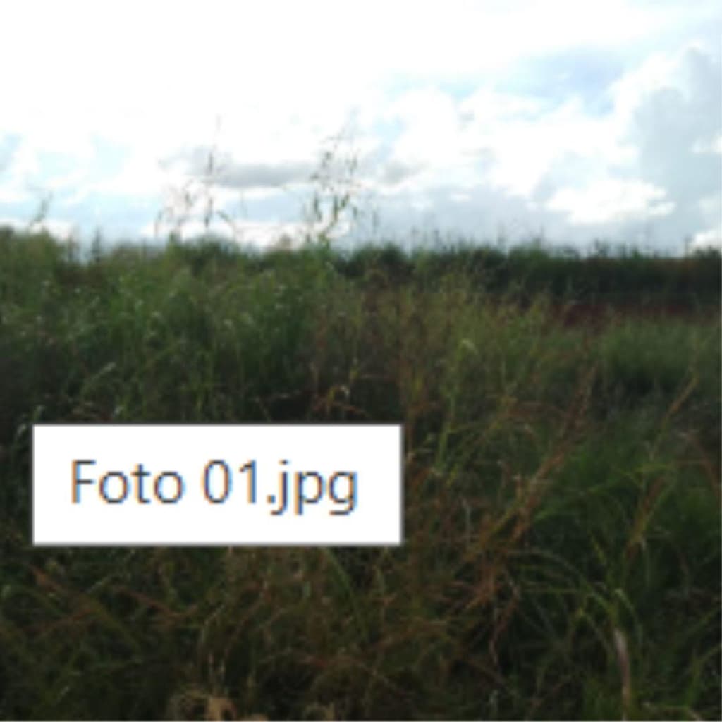 Foto 2 de 3: Terreno em leilão em Espigão Alto Do Iguaçu - PR — IMÓVEL URBANO COM ÁREA DE 323.01 m2- ESPIGÃO ALTO DO IGUAÇU//PR