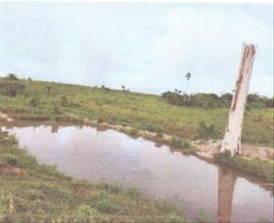 Foto 5 de 5: Area Rural em leilão em Apiacás - MT — IMÓVEL RURAL COM 73,998HA EM APIACÁS-MT