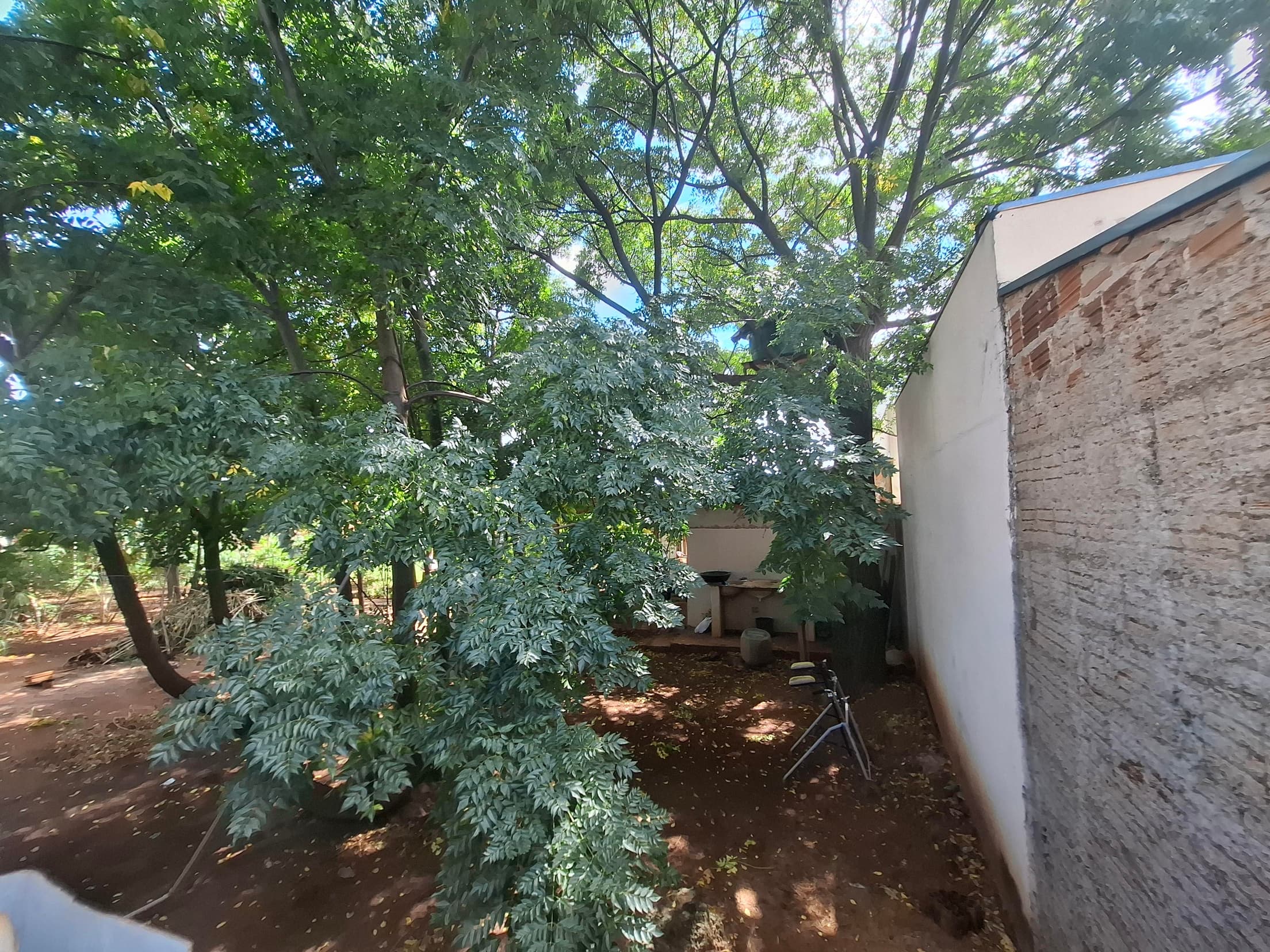 Terreno em leilão em Mirassol - SP — TERRENO DE 200m² NA RUA LINO LEVA, MIRASSOL-SP MATRICULA Nº 25.008