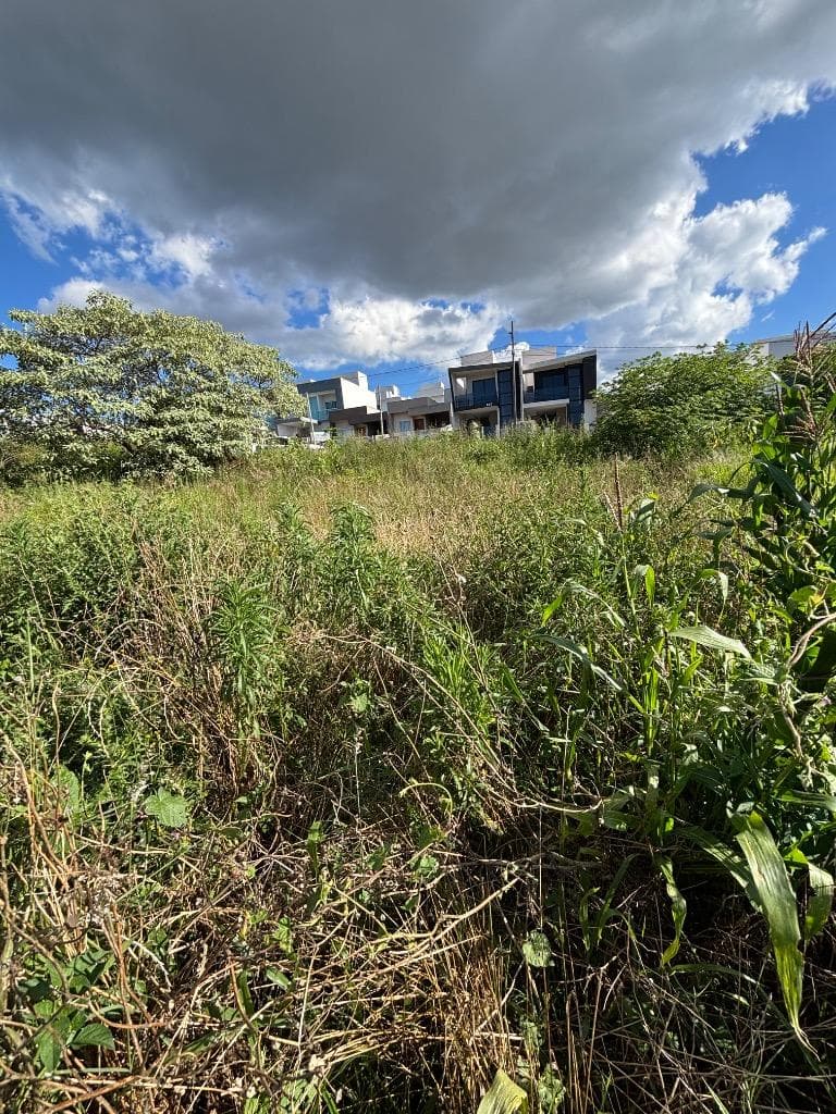 Foto 6 de 8: Terreno em leilão em Pato Branco - PR — TERRENO URBANO COM ÁREA TOTAL DE 296,40 M2 - PATO BRANCO/PR