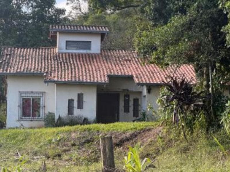 Foto 8 de 12: Area Rural em leilão em Igrejinha - RS, bairro Morro Mico — Chacara_Sitio, 3.3 ha, Igrejinha / RS