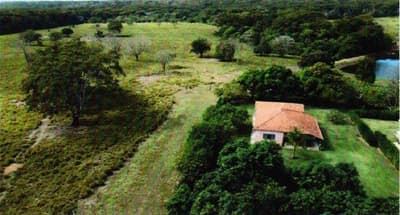 Foto 1 de 13: Area Rural em leilão em Coxim - MS, bairro Rio Verde de Mato Grosso — IMÓVEL RURAL | A.T. 62 HA - Fazenda Caracol | RIO VERDE DE MATO GROSSO/MS.