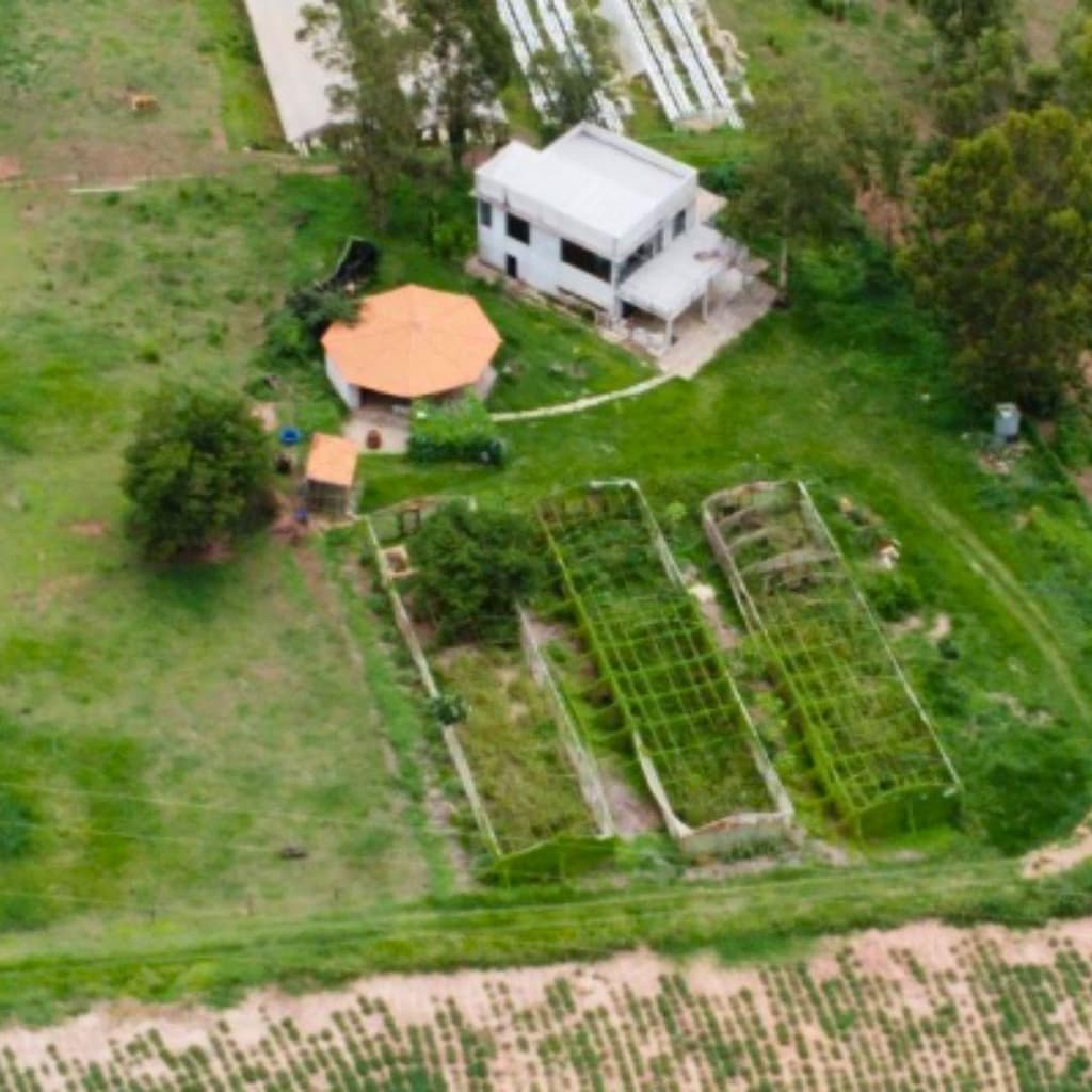 Foto 6 de 8: Area Rural em leilão em Umuarama - PR — IMÓVEL URBANO COM ÁREA DE 2,0400 ha - Em UMUARAMA/PR