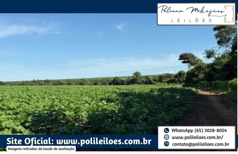 Foto 3 de 7: Area Rural em leilão em Sorriso - MT — Área Rural, Fração Ideal 157,7447ha, AT. 315,489ha, denominado Dal, Bosco Fazenda Rondinha II, Gleba Rio Verde/Lote Primavera, Sorriso/MT