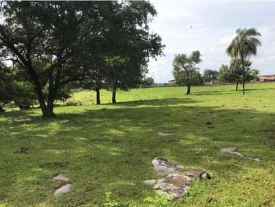 Foto 12 de 14: Comercial em leilão em Posse - GO — IMÓVEIS RESIDENCIAL, COMERCIAL E RURAL | POSSE/GO