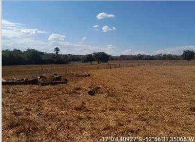 Foto 11 de 21: Area Rural em leilão em Mineiros - GO — IMÓVEL RURAL | A.T. 190,9953 HA | A.C 675 M² | FAZENDA SALTO| MINEIROS/GO