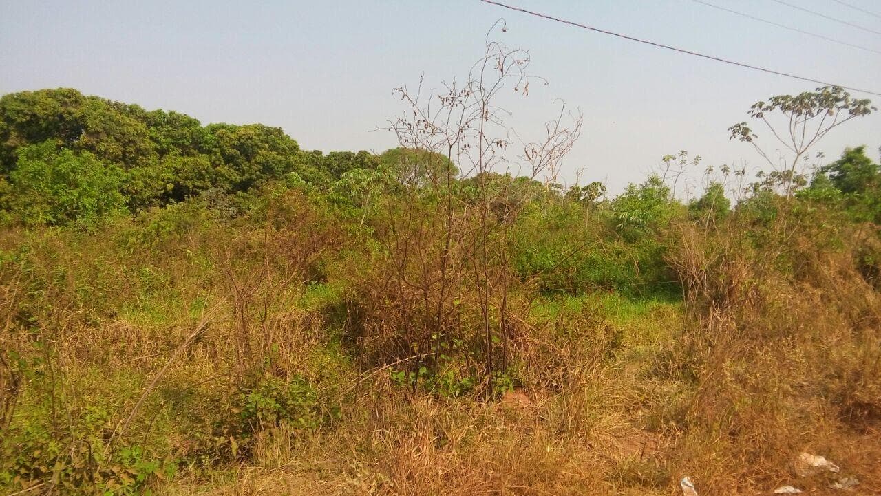 Foto 17 de 18: Terreno em leilão em Cáceres - MT — Terreno com 9.987m², Desocupado no Panorama em Cáceres/MT