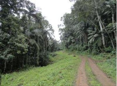 Foto 1 de 4: Area Rural em leilão em Timbó - SC — Área rural medindo 25 hectares, Estrada De Servidão, Timbó/SC - Rec Judic Porcelana Schmidt