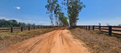 Foto 1 de 4: Area Rural em leilão em Juara - MT — Fazenda 2.481,6665ha | Zona Rural de Juara-MT