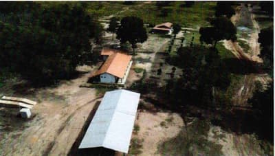Foto 11 de 13: Area Rural em leilão em Coxim - MS, bairro Rio Verde de Mato Grosso — IMÓVEL RURAL | A.T. 62 HA - Fazenda Caracol | RIO VERDE DE MATO GROSSO/MS.
