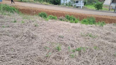 Foto 4 de 5: Terreno em leilão em Saudades - SC — LOTE URBANO Nº 05 DA QUADRA Nº 122, LOCALIZADO EM SAUDADES/SC ÁREA DE 480,10M²