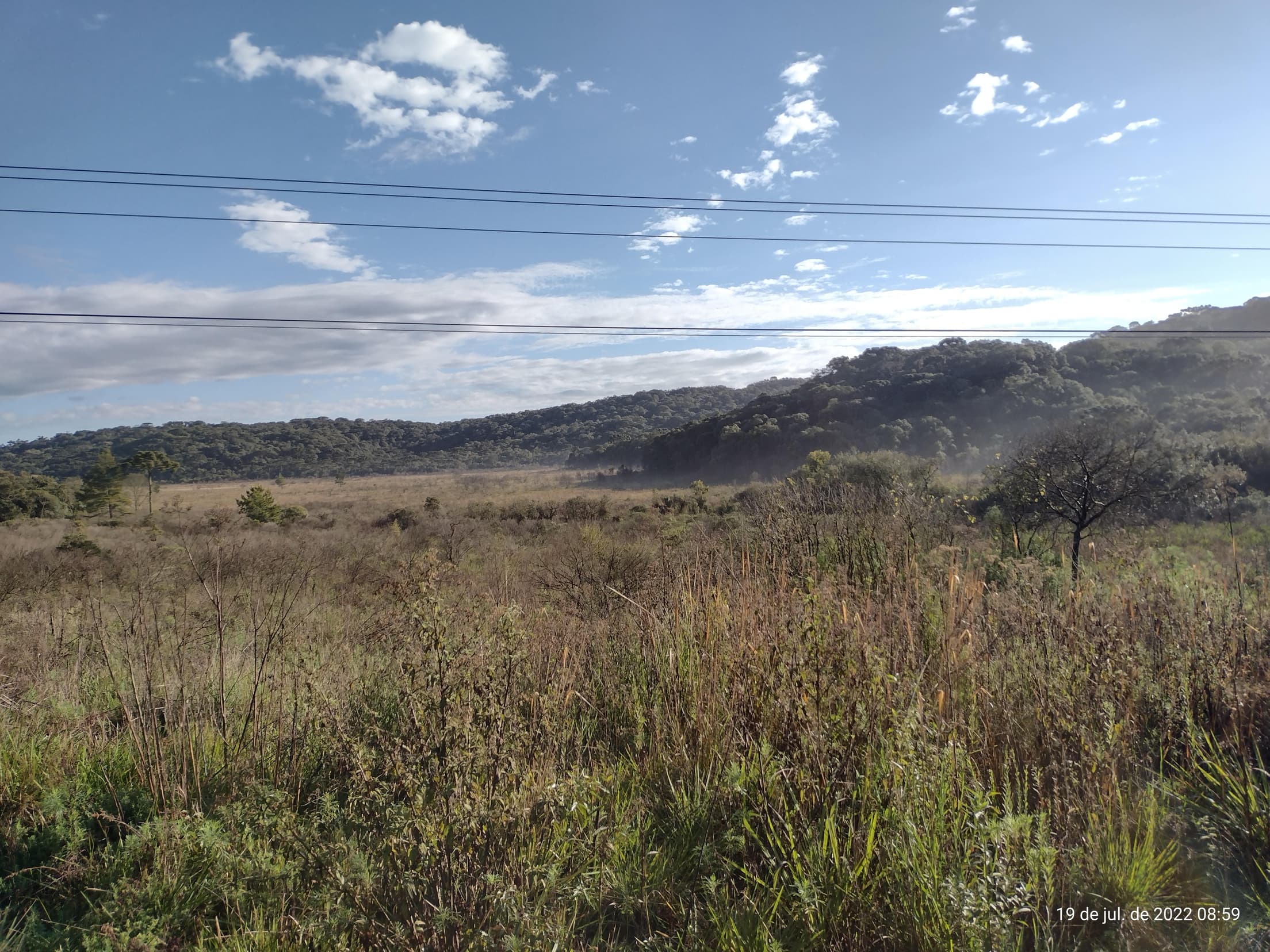 Foto 33 de 50: Terreno em leilão em Irati - PR — Terreno rural com área de 74.282,70m², Irati/PR