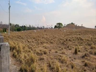 Foto 1 de 7: Area Rural em leilão em Nova Bandeirantes - MT — IMÓVEL RURAL | 202,1749 HA - FAZ. BOM SUCESSO GLEBA B | NOVA BANDEIRANTES/MT