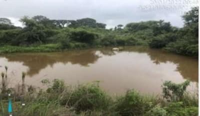 Foto 4 de 9: Terreno em leilão em Santana Do Araguaia - PA — 04 IMÓVEIS RURAIS NO LOT. COLÔNIA VERDE BRASILEIRA EM SANTANA DO ARAGUAIA-PA