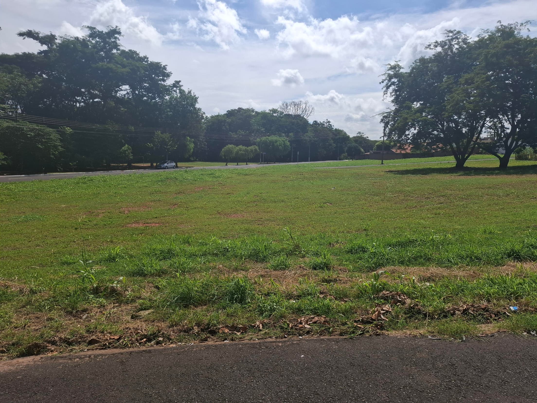 Foto 4 de 6: Terreno em leilão em Mirassol - SP — TERRENO LOCALIZADO NA RUA BRAZ LOPES COM ÁREA DE 306m², RESIDENCIAL CELINA DALUL, | MIRASSOLSP Nº 26.013
