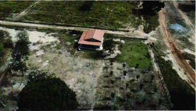 Foto 13 de 13: Area Rural em leilão em Coxim - MS, bairro Rio Verde de Mato Grosso — IMÓVEL RURAL | A.T. 62 HA - Fazenda Caracol | RIO VERDE DE MATO GROSSO/MS.