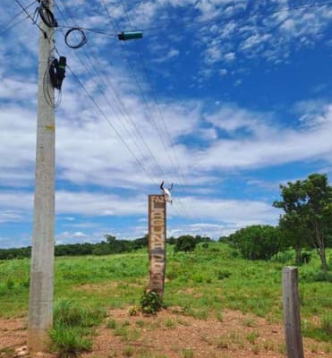 Area Rural em leilão em Nossa Senhora Do Livramento - MT — FAZENDA DE 125 Ha - | Nossa Senhora do Livramento/MT