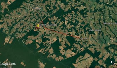 Foto 7 de 8: Area Rural em leilão em Tapurah - MT — Fazenda, Ocupado, TAPURAH / MT