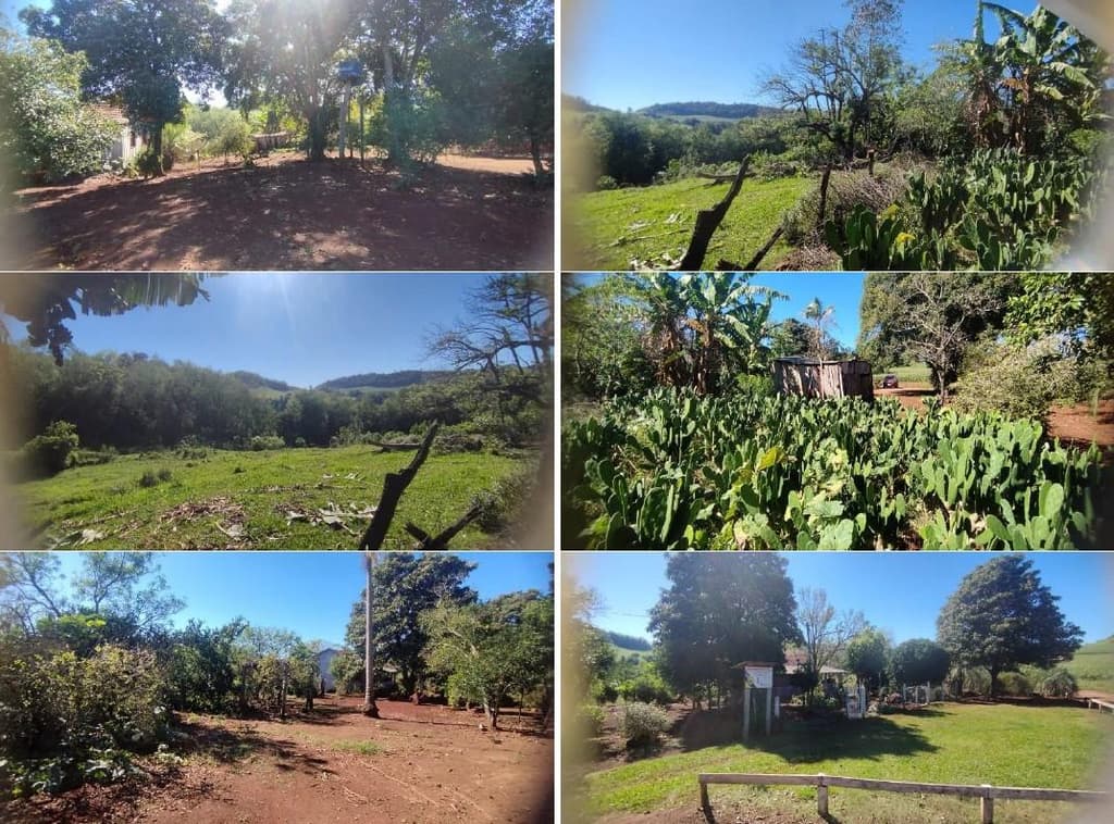 Foto 5 de 12: Area Rural em leilão em Pérola D'oeste - PR — Parte Ideal (5%) Lote Rural com A.T. 84.000m², Município de Pérola DOeste/PR