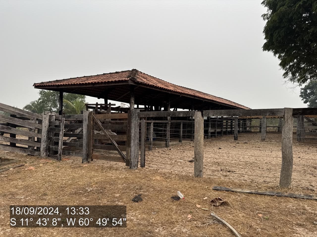 Foto 17 de 20: Area Rural em leilão em Pimenta Bueno - RO — IMÓVEL RURAL | A. T. 63,4635 HA | PIMENTA BUENO/RO - LEILÃO EMPRESARIAL SISTÊMICO SICREDI