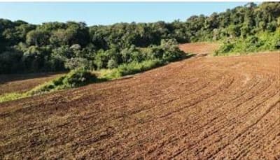 Foto 7 de 13: Area Rural em leilão em Nova Esperança Do Sudoeste - PR — LOTE RURAL EM SALTO DO LONTRA-PR