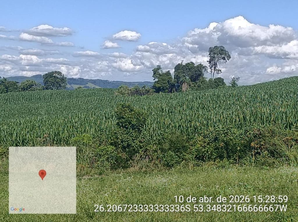 Foto 7 de 8: Area Rural em leilão em Salgado Filho - PR — IMÓVEL RURAL COM ÁREA TOTAL DE 92.407,85 m2- Em SALGADO FILHO/PR