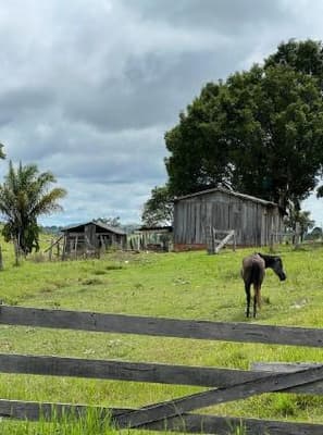 Foto 3 de 5: Area Rural em leilão em Alta Floresta D'oeste - RO — IMÓVEL RURAL| A.T. 12,10 HA SÍTIO STO. ANTÔNIO SETOR RIO BRANCO | ALTA FLORESTA DOESTE/RO