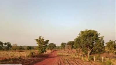 Foto 2 de 8: Area Rural em leilão em Dois Irmãos Do Tocantins - TO — IMÓVEL RURAL | 144,57,04HA | FAZ. PIONEIRA I EM DOIS IRMÃO DO TOCANTINS/TO - EXPLORAÇÃO DE AGROPECUÁRIA