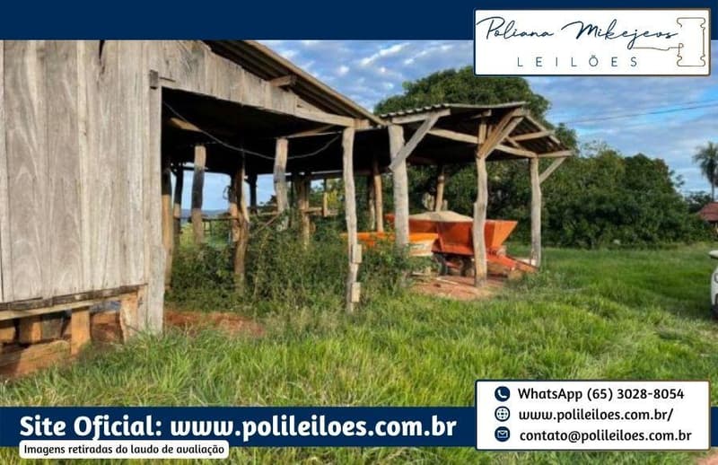 Foto 7 de 9: Area Rural em leilão em Rio Verde De Mato Grosso - MS — Gleba de terras, 146ha, 8.635m², remembramento dos lotes "Abora, "Abobora" e "São Domingos", em Rio Verde/MS