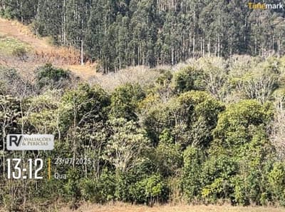 Foto 4 de 17: Casa em leilão em Marmeleiro - PR — IMÓVEL RURAL COM ÁREA TOTAL 47.709,00m2- Em MARMELEIRO/PR