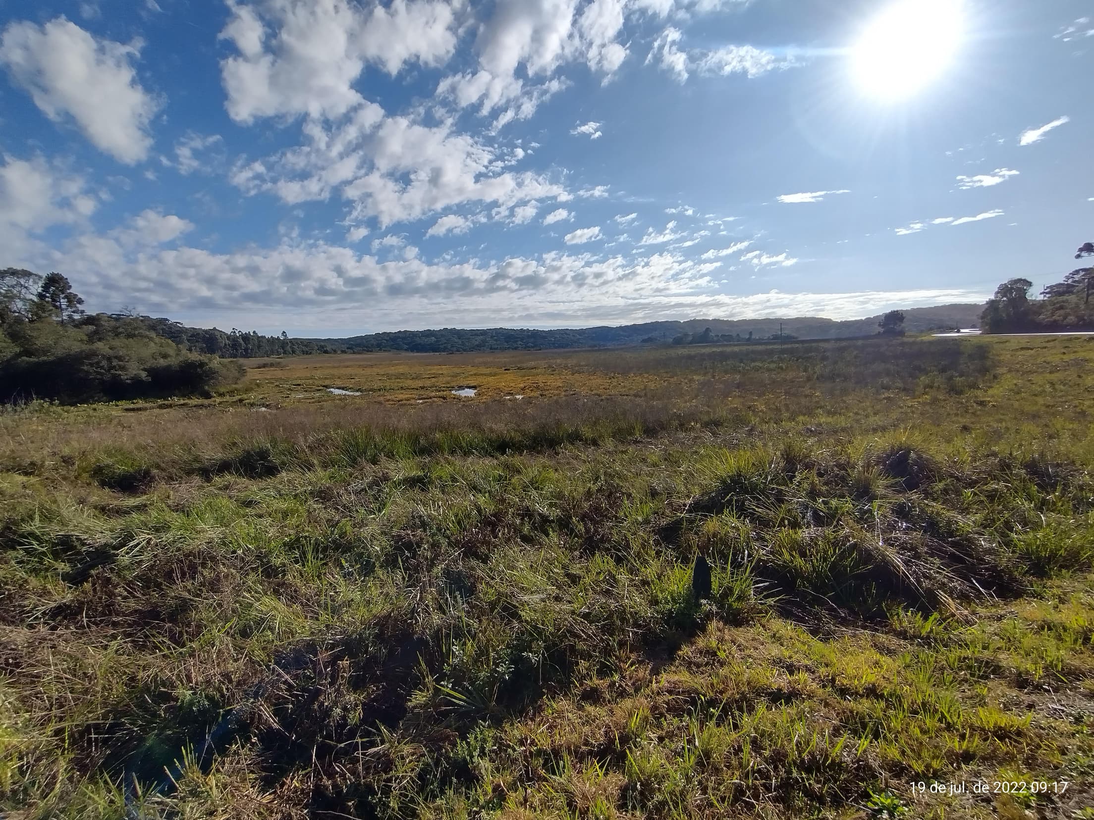 Foto 24 de 50: Terreno em leilão em Irati - PR — Terreno rural com área de 74.282,70m², Irati/PR