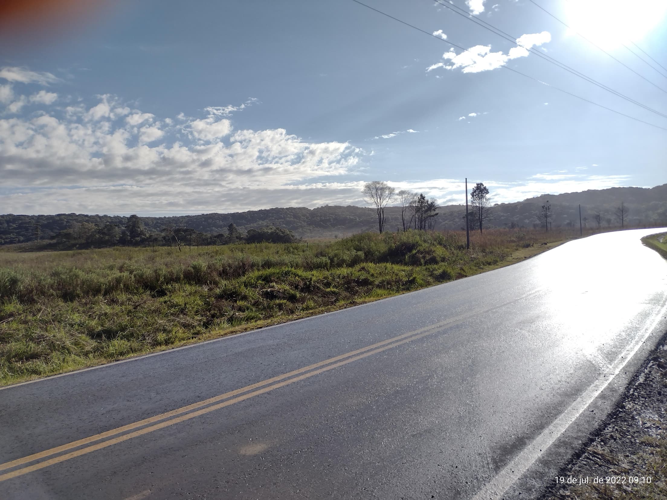 Foto 14 de 50: Terreno em leilão em Irati - PR — Terreno rural com área de 74.282,70m², Irati/PR