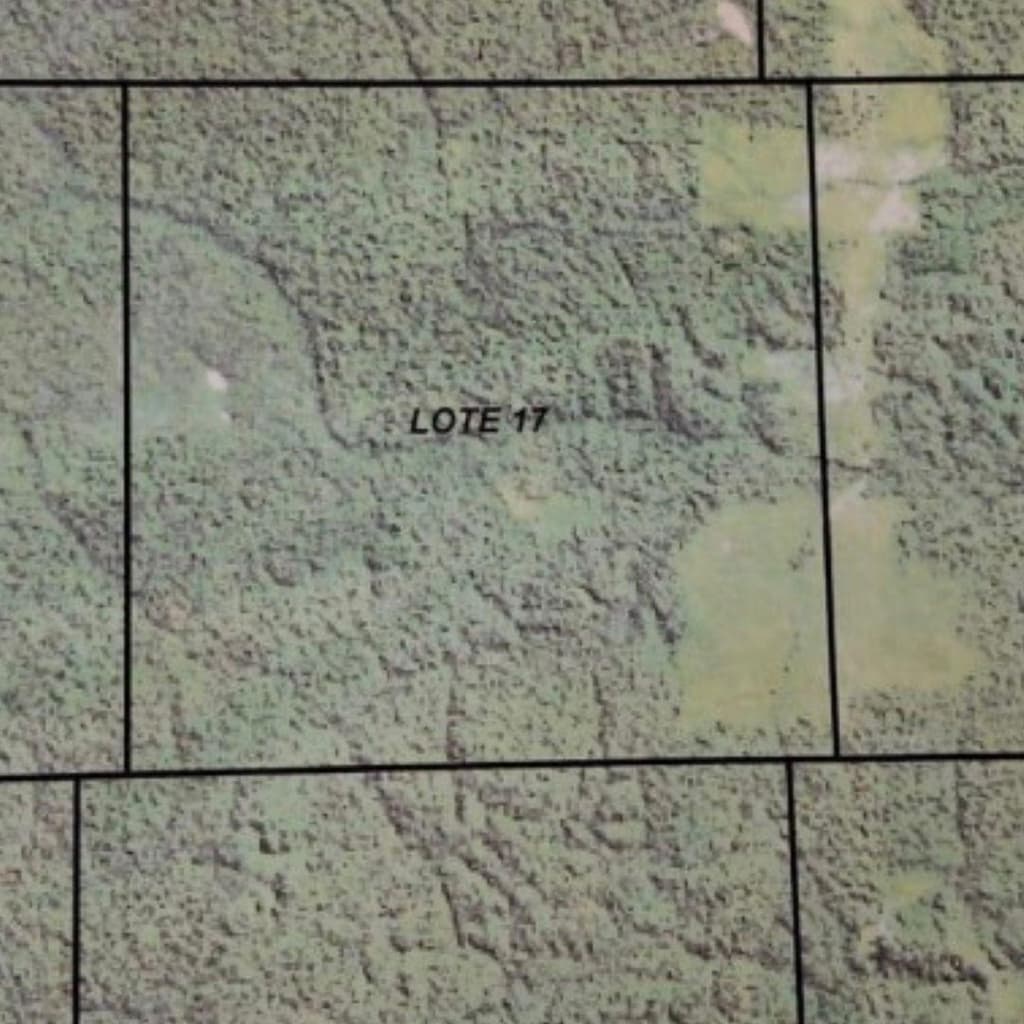 Area Rural em leilão em Colniza - MT — Imóvel Rural com 3.136,7472 ha localizados em Colniza/MT - (LOTE 17)