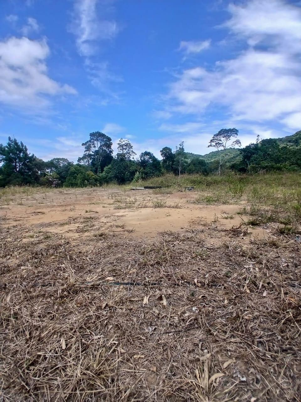 Foto 6 de 18: Area Rural em leilão em Anitápolis - SC — IMÓVEL RURAL COM ÁREA TOTAL DE 30.704,71m². EM ANITÁPOLIS-SC