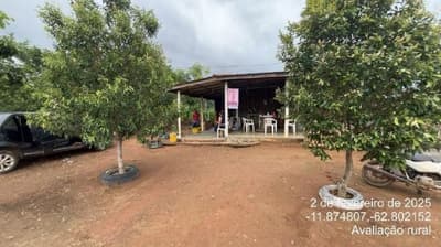 Foto 1 de 11: Area Rural em leilão em São Miguel Do Guaporé - RO — IMÓVEL RURAL - SÍTIO DOIS IRMÃOS DE 12,0919HA - SÃO MIGUEL DO GUAPORÉ/RO