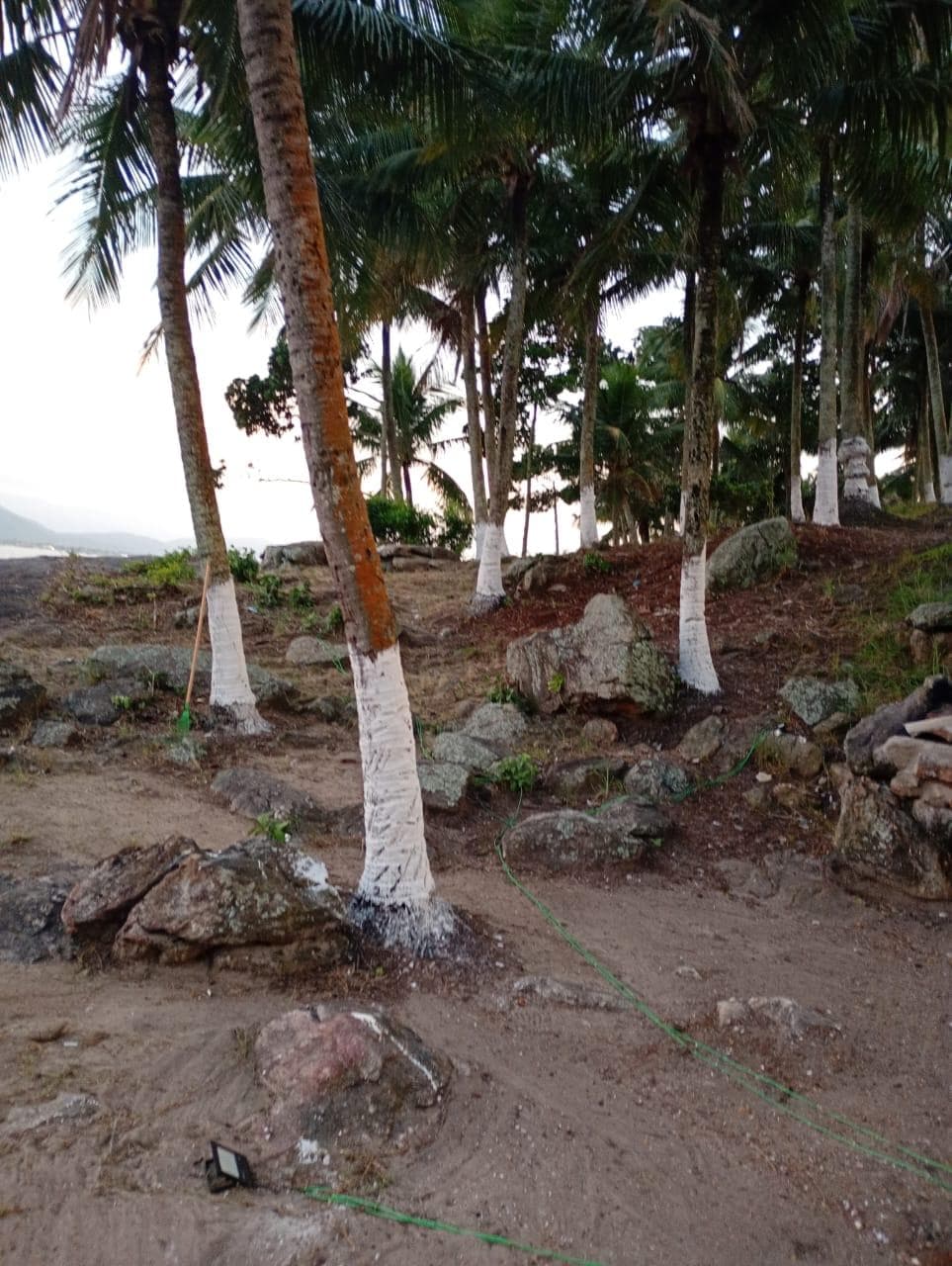Foto 5 de 11: Imóvel em leilão em Guarujá - SP — Ilha com 45.000m² Desocupada no Litoral do Guarujá/SP