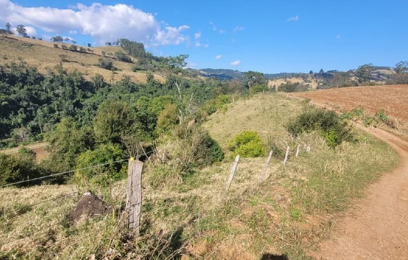 Foto 4 de 8: Area Rural em leilão em Anchieta - SC — Lote Rural 72.600m² Desocupado em Anchieta/SC