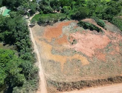 Foto 4 de 5: Area Rural em leilão em Apiacás - MT — IMÓVEL RURAL | A.T. 15.916,00m² | CHÁCARA LE 71 - APIACÁS/MT