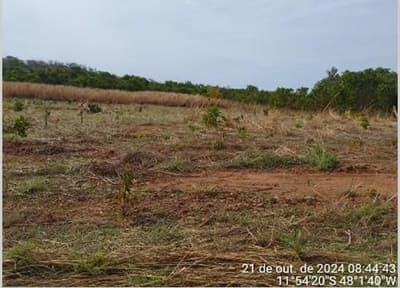 Foto 2 de 8: Area Rural em leilão em São Valério - TO — IMÓVEL RURAL | A.T. 1.210,00063 HA | FAZENDA LISBOA | SÃO VALÉRIO/TO