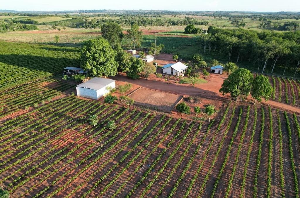 Foto 3 de 5: Area Rural em leilão em Alta Floresta D'oeste - RO — IMÓVEL RURAL | 22,93618 HA - SÍTIO SÃO FRANCISCO - SETOR PARECIS | ALTA FLORESTA D'OESTE/RO